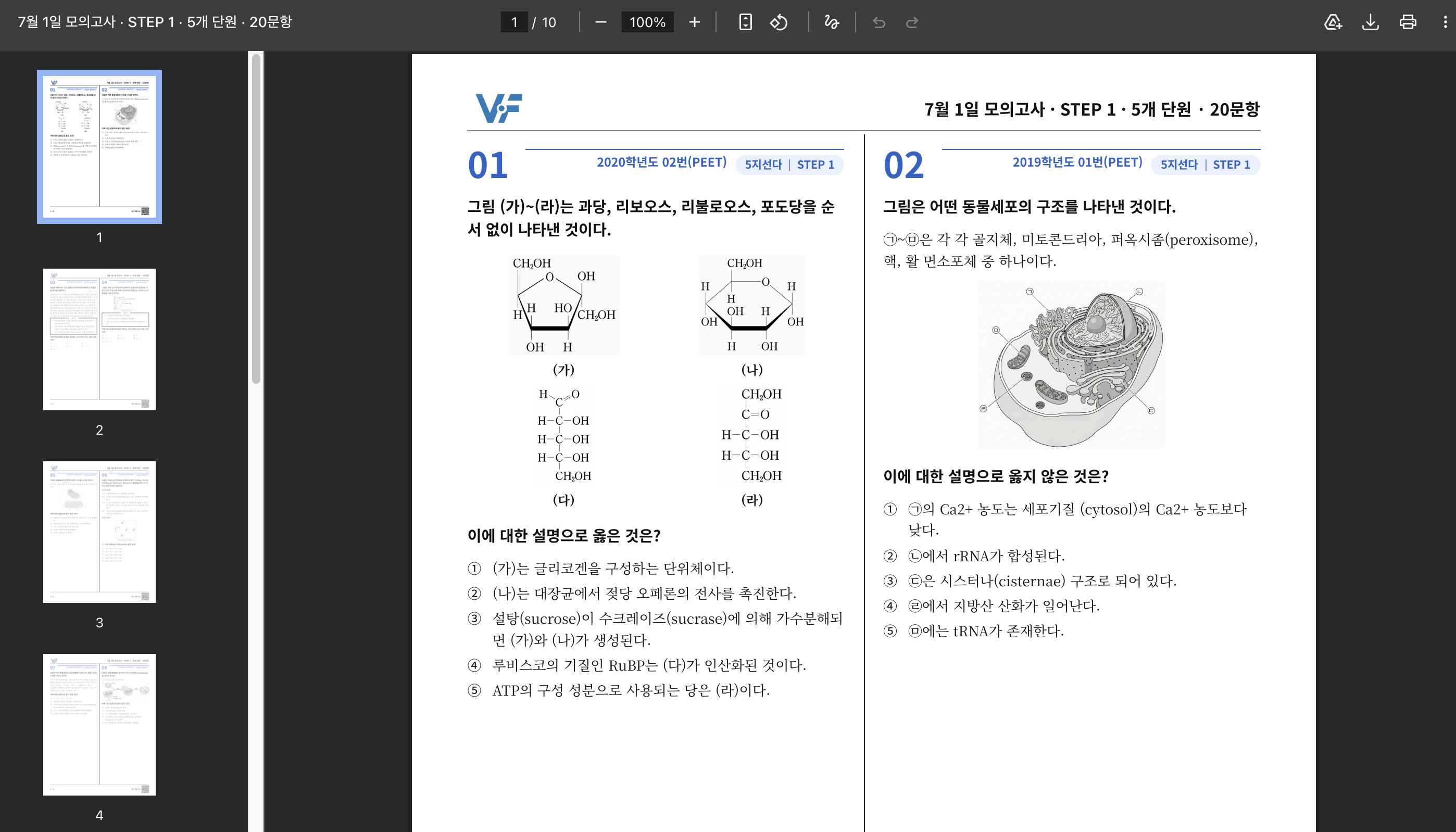 생성된 모의고사 PDF