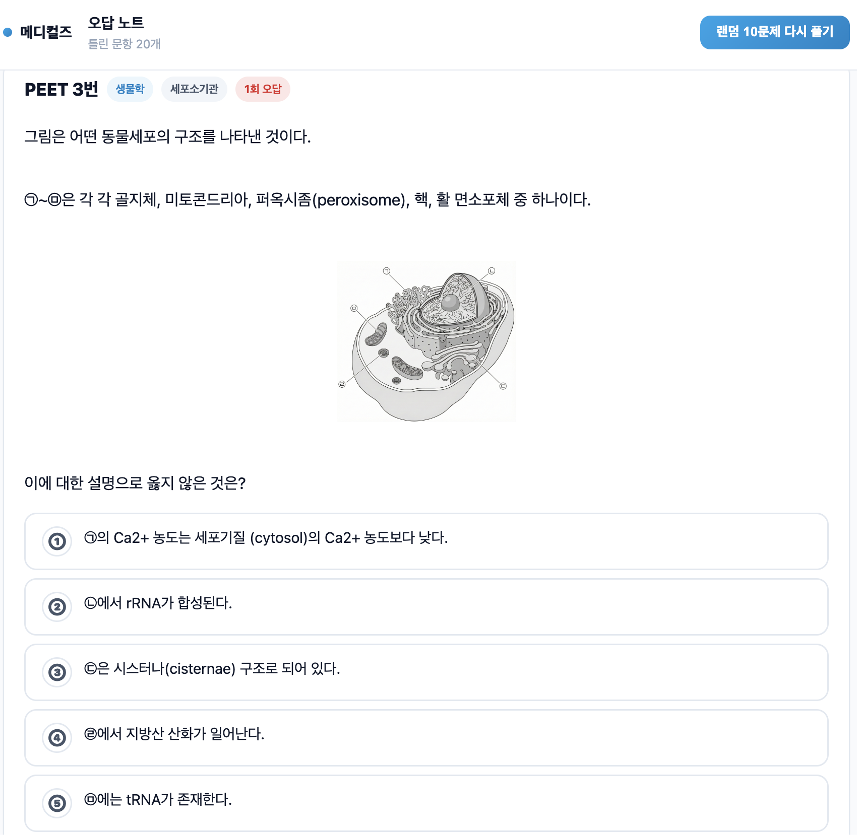 오답 노트 화면