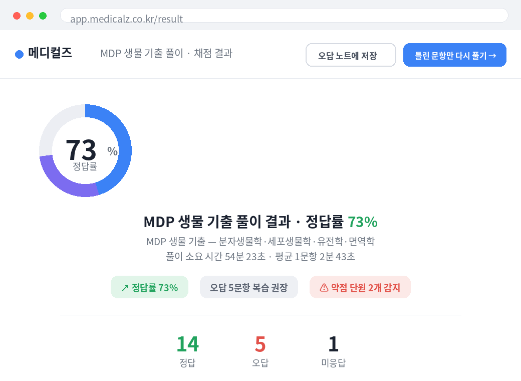 채점 결과 화면 예시